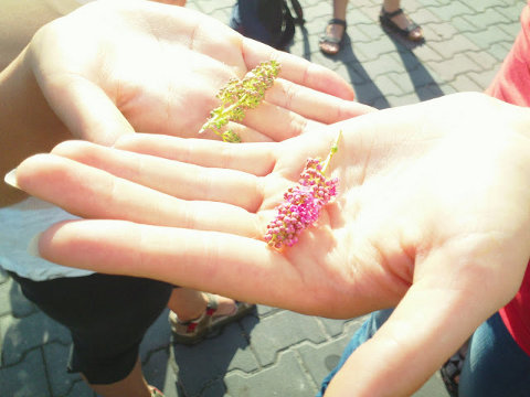 Jesteśmy sobie pisani