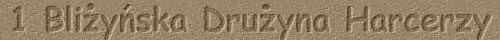 ZHR 1 Skaryska Druyna Harcerzy 'Czarna Jedynka' im. Stanisawa Staszica